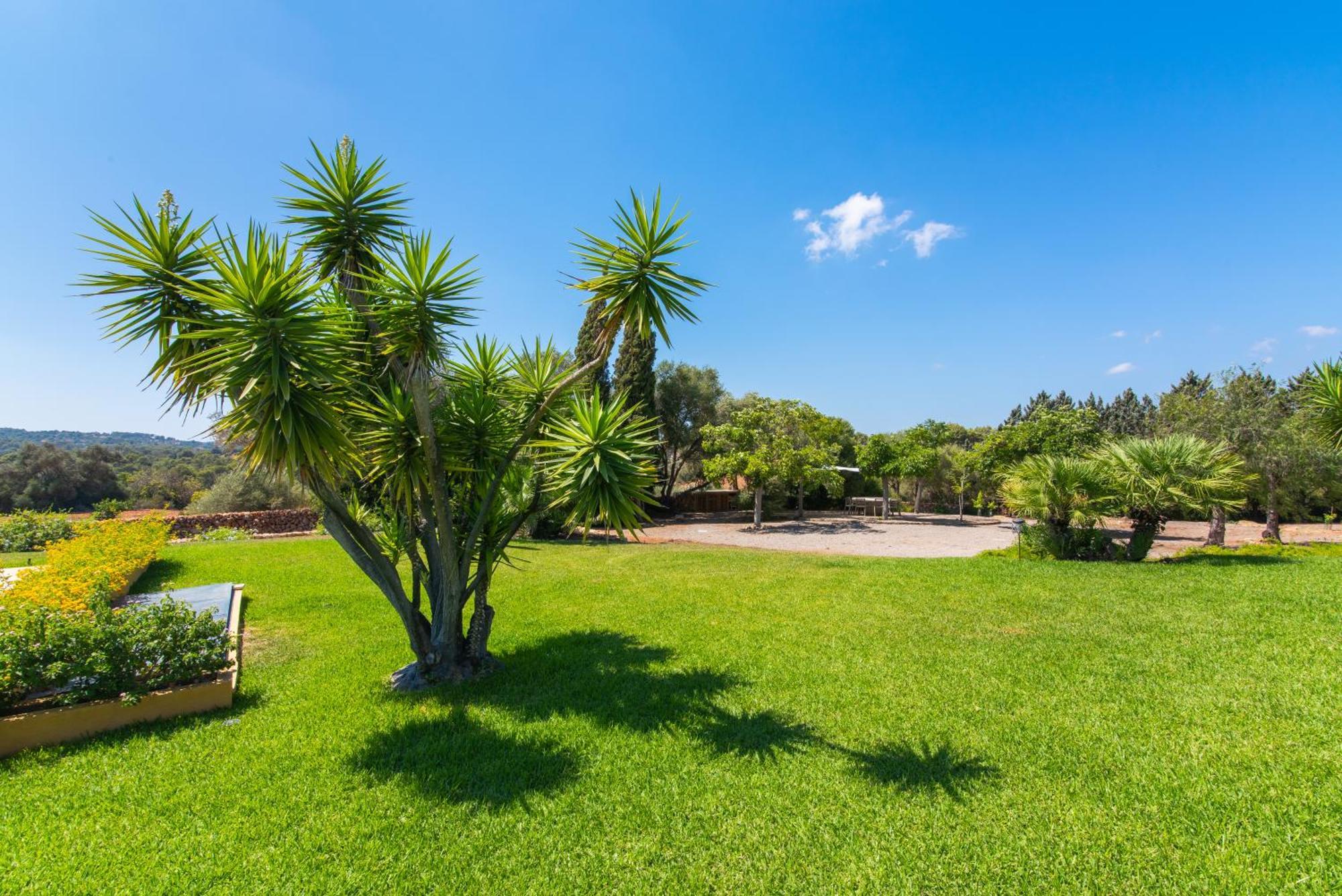 Finca Son Blat Porto Cristo Buitenkant foto