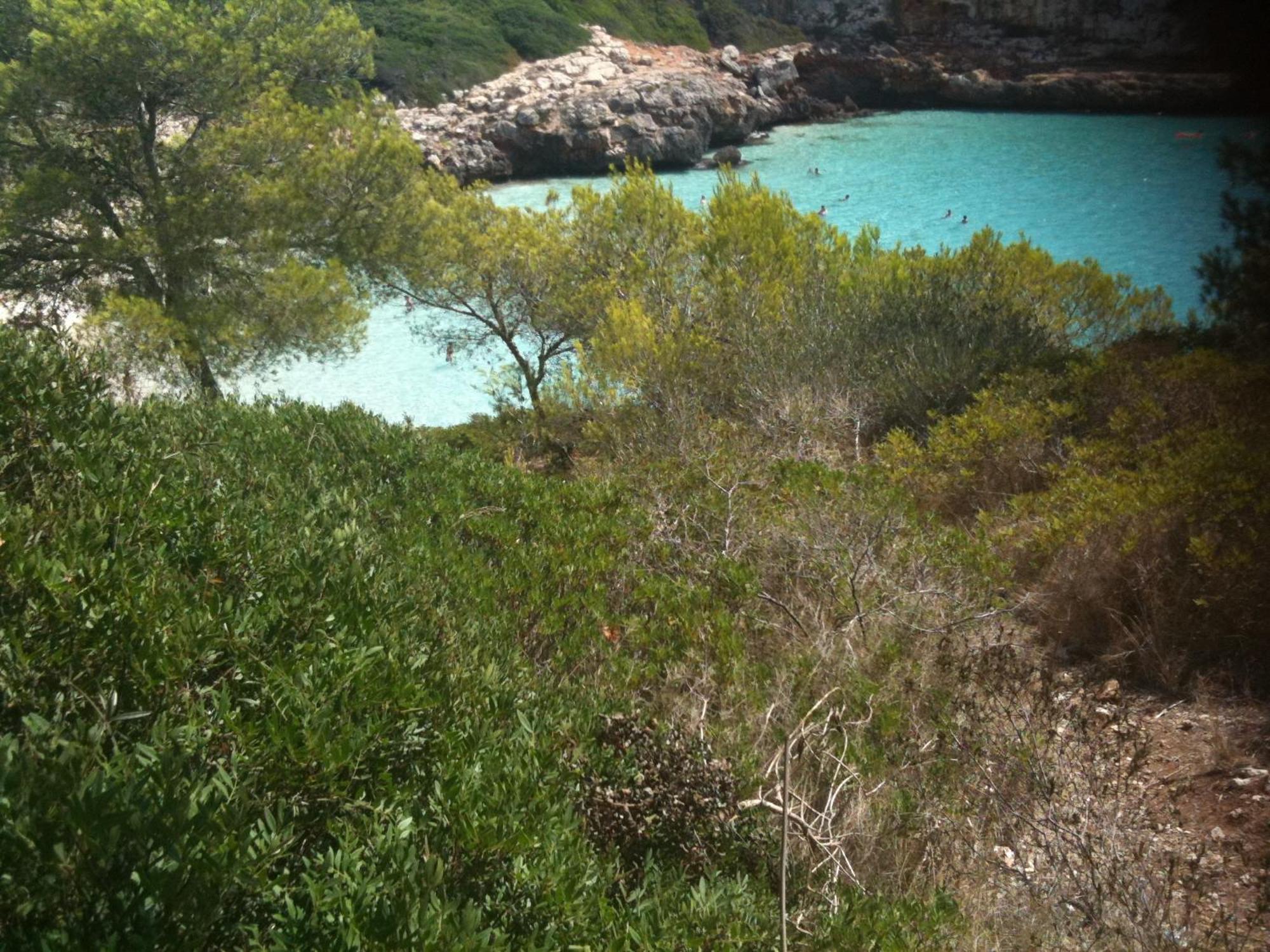 Finca Son Blat Porto Cristo Buitenkant foto