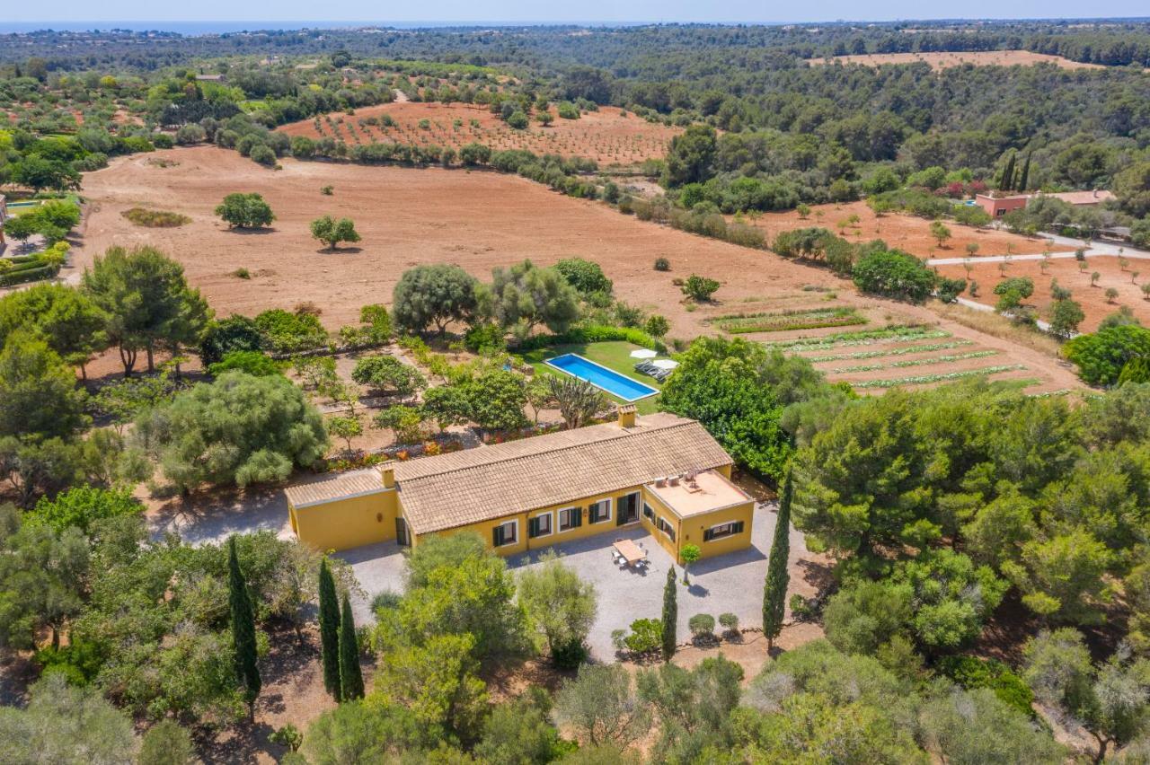 Finca Son Blat Porto Cristo Buitenkant foto